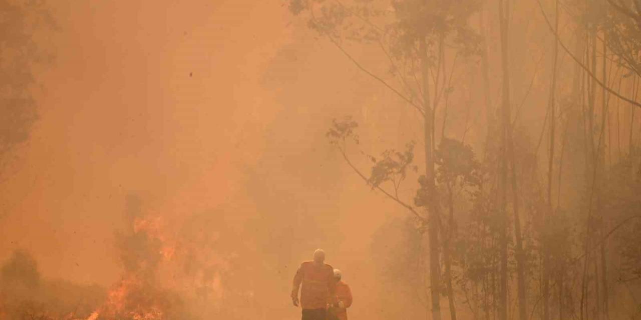 Brezilya’daki Yangında Ormanın Yüzde 20’si Küle Döndü