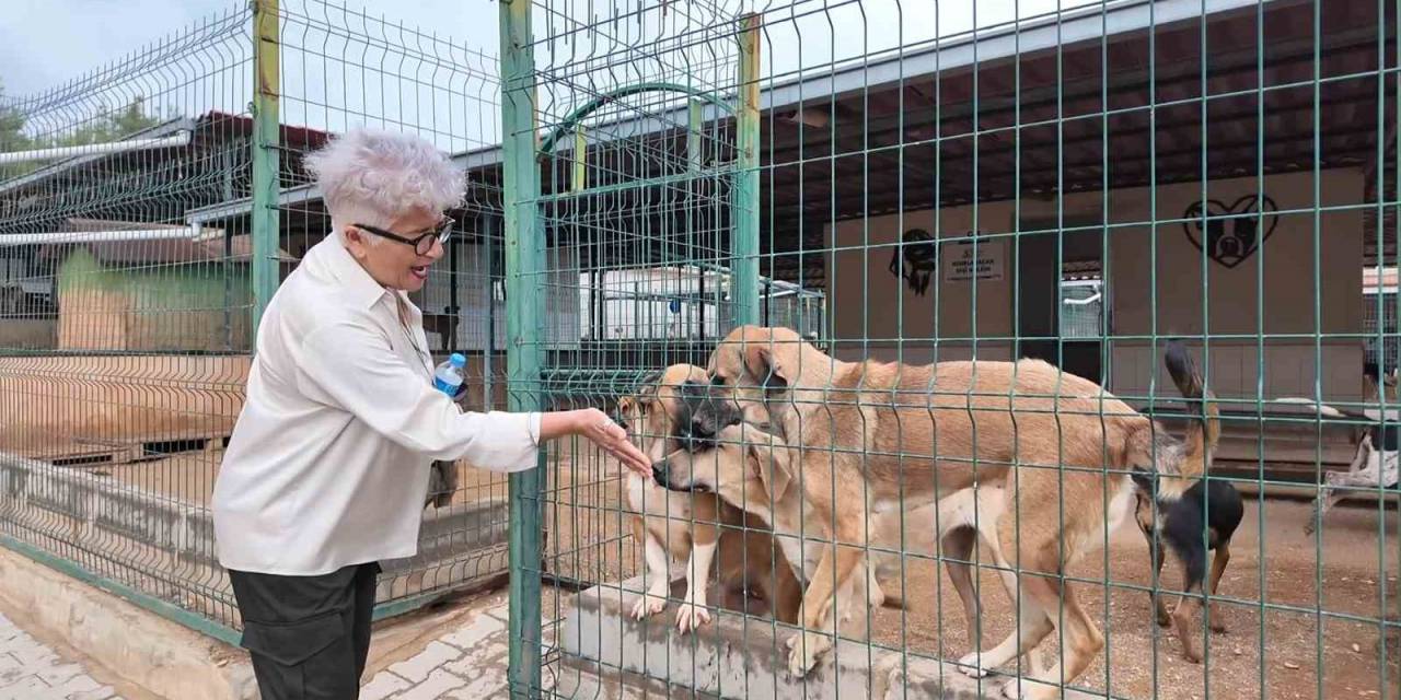 Kaşlı Bakım Evine Hayvanseverlerden Tam Not