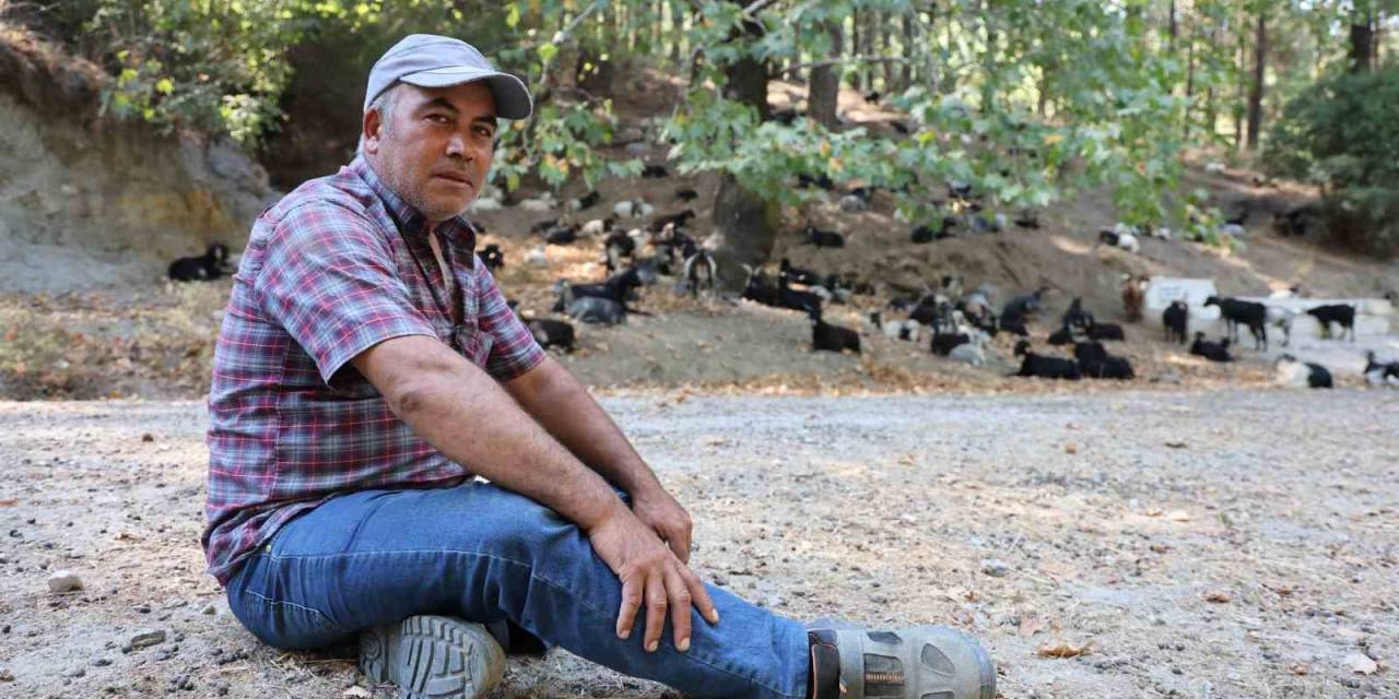 Keçilerin Hareketlerini İzleye İzleye Meteoroloji Uzmanı Oldu