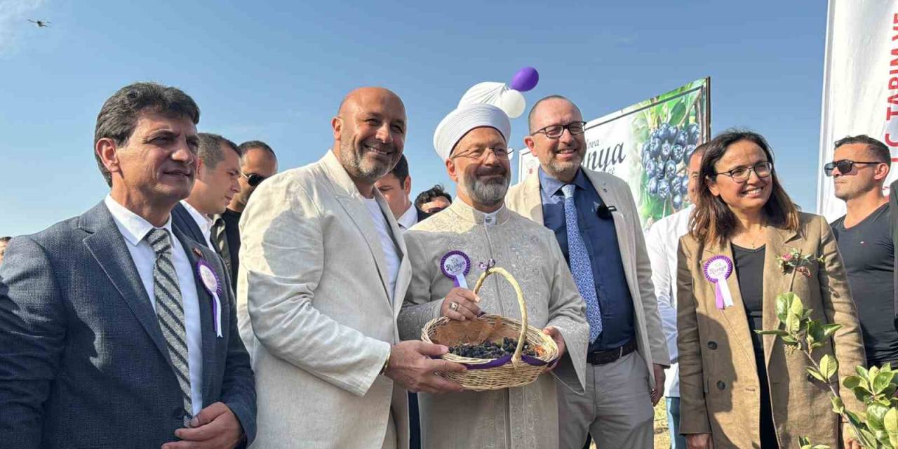 Yalova Aronya Festivali Renkli Görüntülerle Başladı