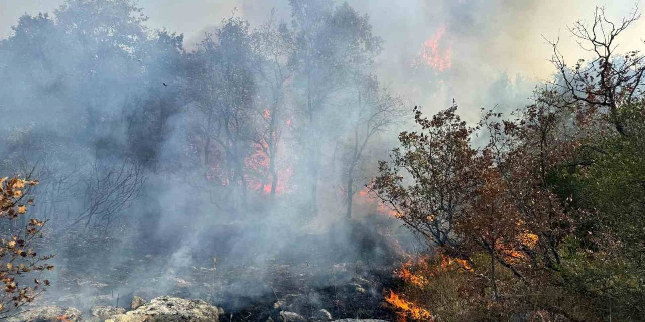 Bursa’da Korkutan Orman Yangını