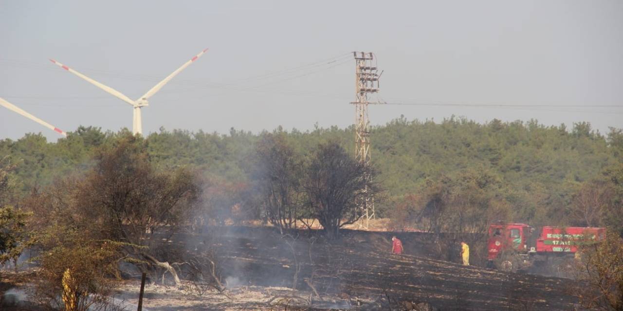 Çanakkale’de Tarım Arazisinde Yangın
