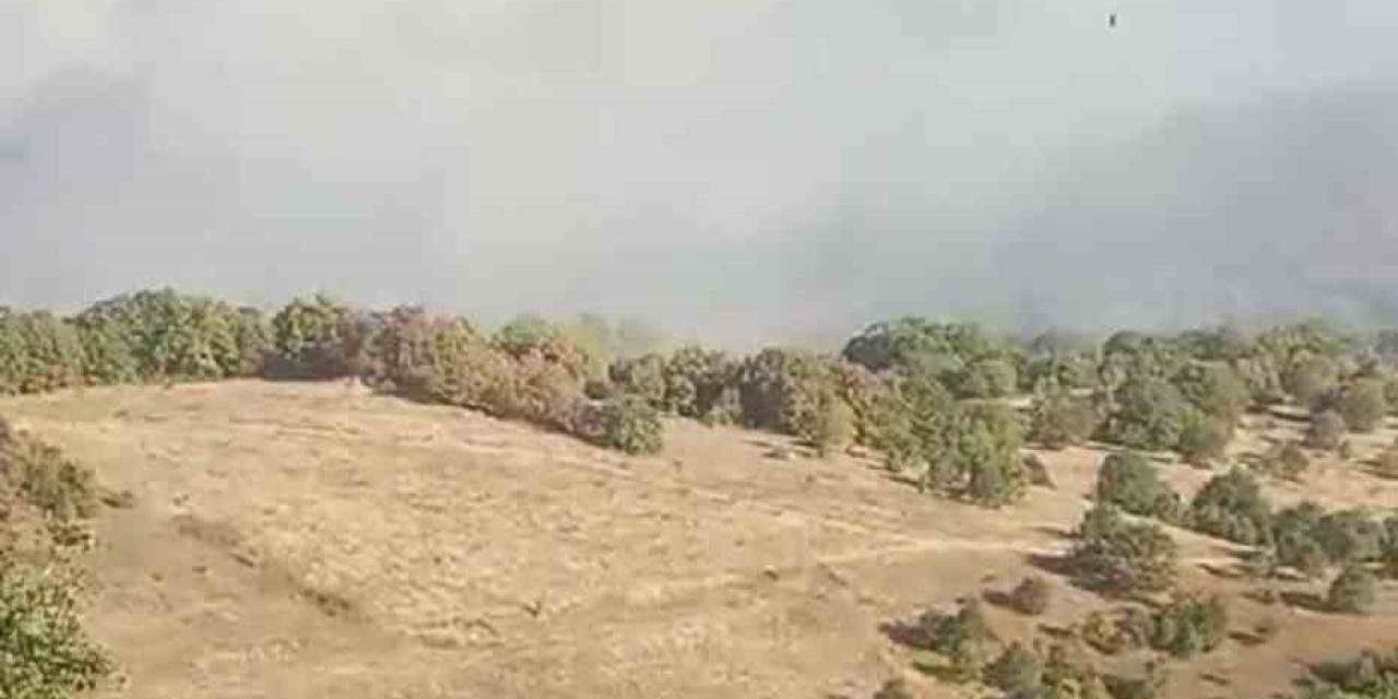 Bursa’da Korkutan Orman Yangını