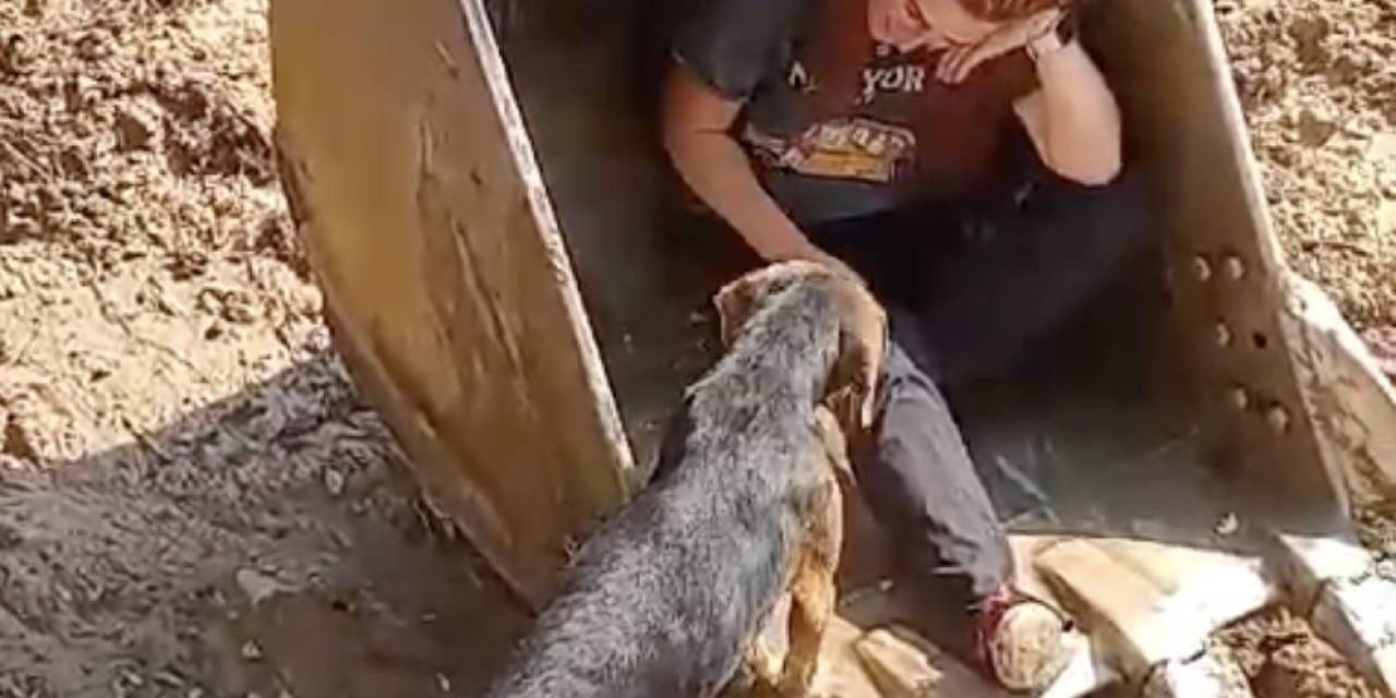 Dereye Düşen Köpek İş Makinesinin Kepçesi İle Kurtarıldı