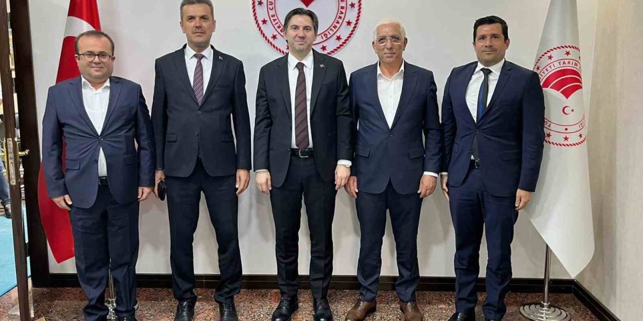 Zeytin Hasadı Öncesi Tarım Ve Orman Bakanlığı’nda Önemli Görüşme