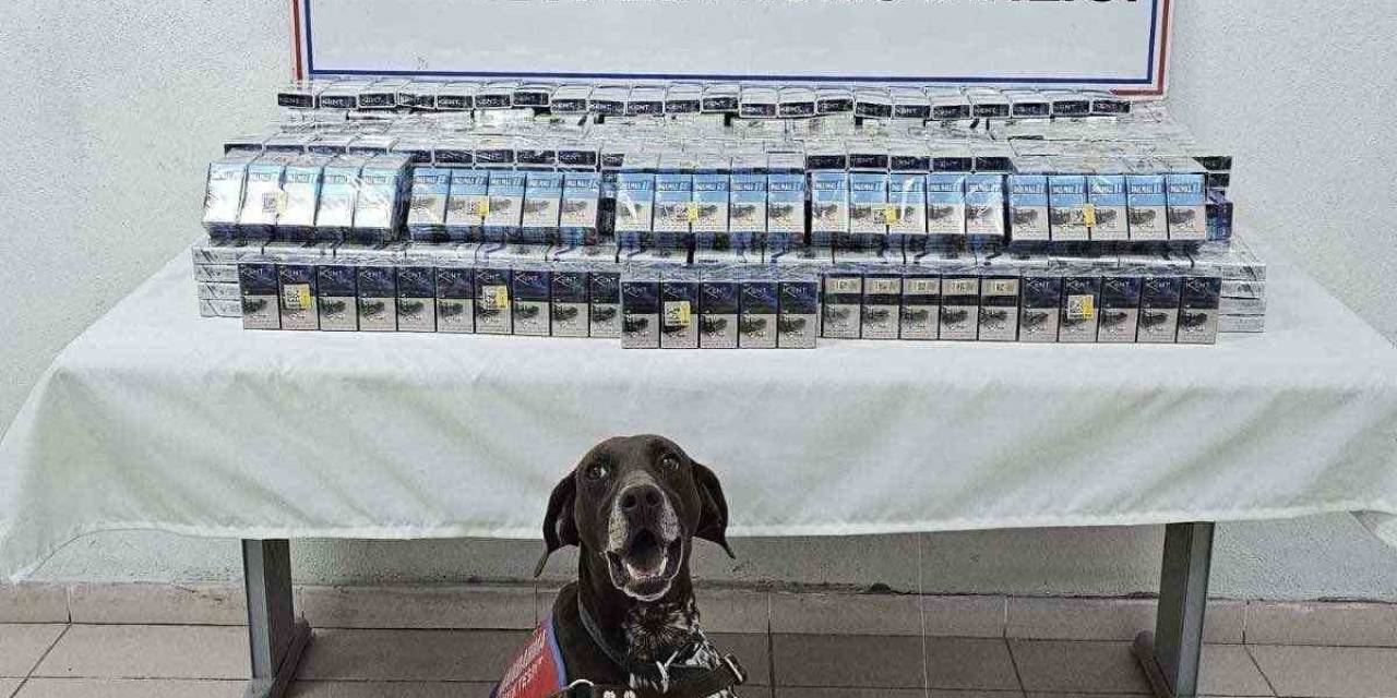 Ağrı’da Binlerce Paket Kaçak Sigara Ele Geçirildi