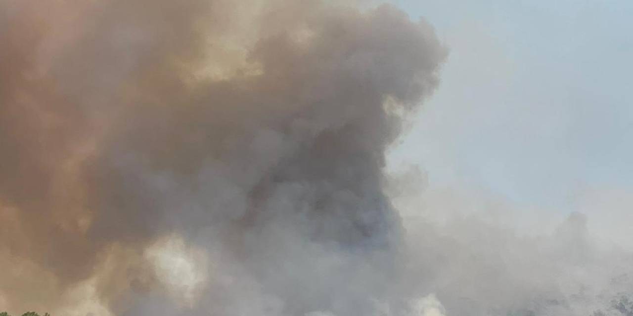 Muğla’daki Orman Yangınını Söndürme Çalışmaları Devam Ediyor