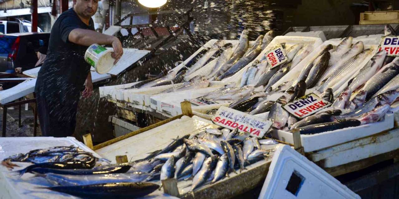 Balık Fiyatlarında Düşüş Başladı