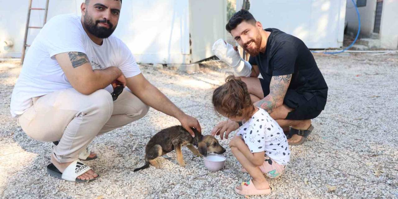 Çuvala Konulup, Çöplük Alana Terk Edilen Köpeği Vatandaşlar Kurtardı