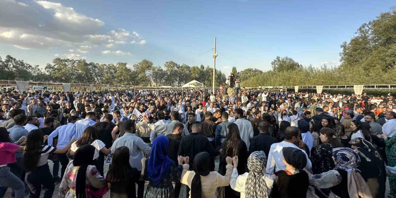 Aşiret Festivaline 20 Bin Kişi Katıldı, 300 Koyun Kesildi