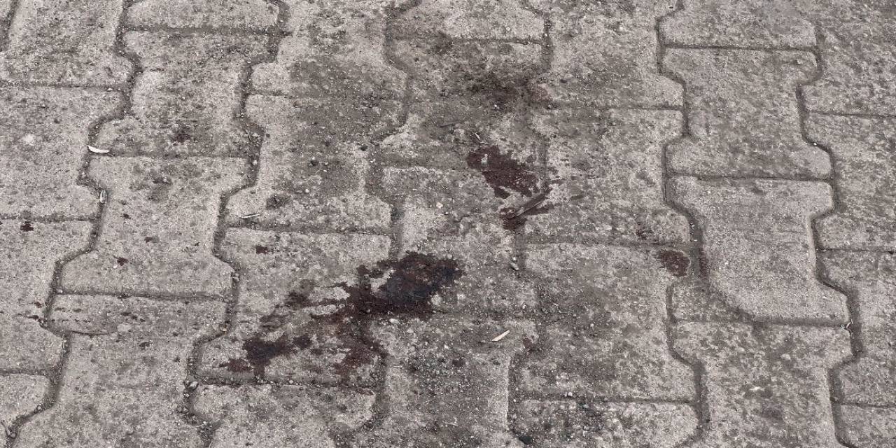 Fransız Turiste Tatvan’da Bıçaklı Saldırı