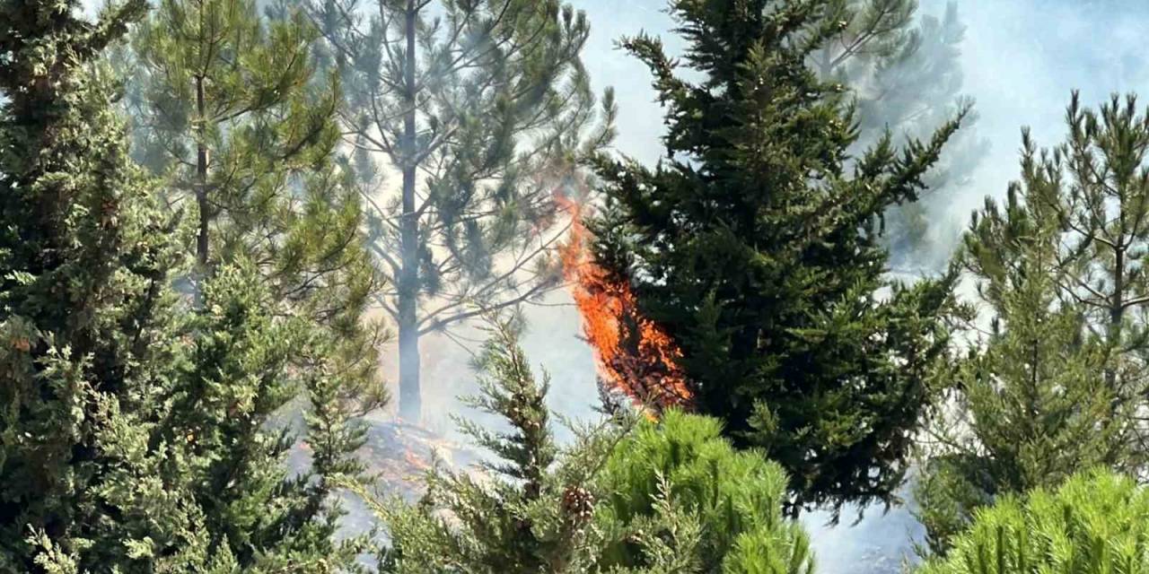Kahramanmaraş’ta Şehitler Koruluğu’nda Çıkan Yangın Söndürüldü