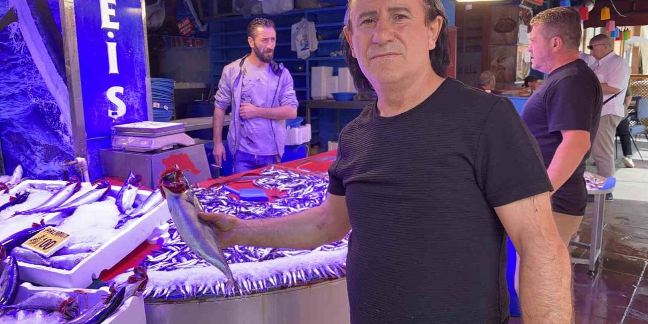 Tanesi 100 Liradan Satılan Palamuda Vatandaşın İlgisi Yoğun