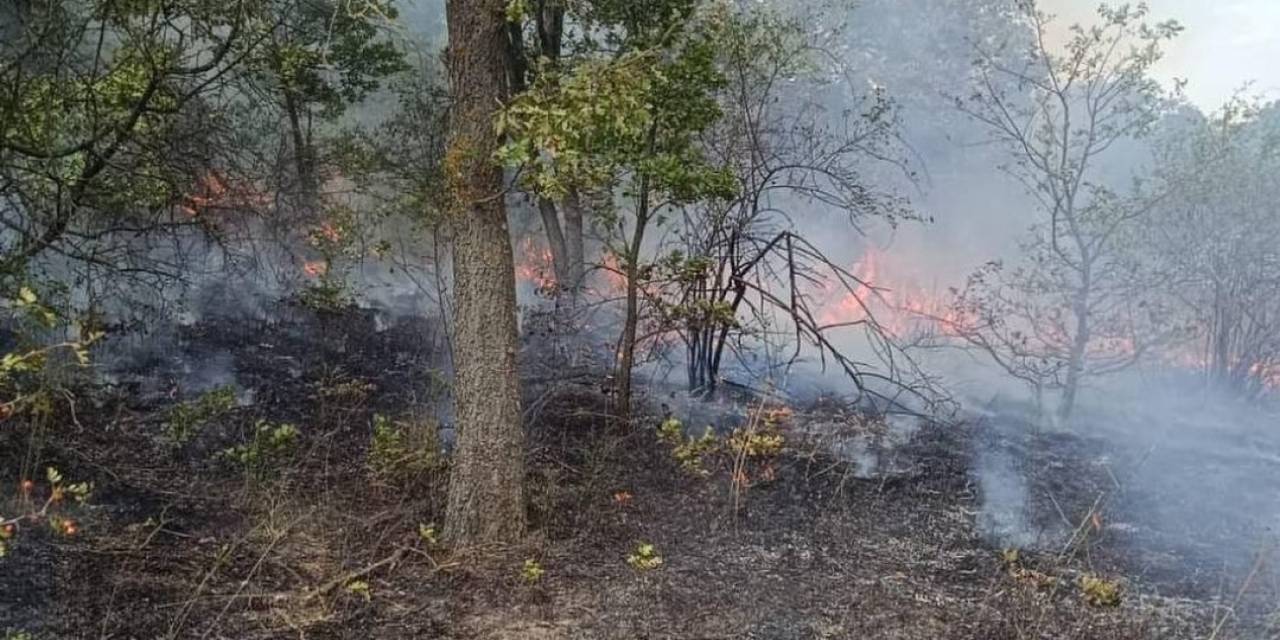 Pehlivanköy’de Orman Yangını Söndürüldü