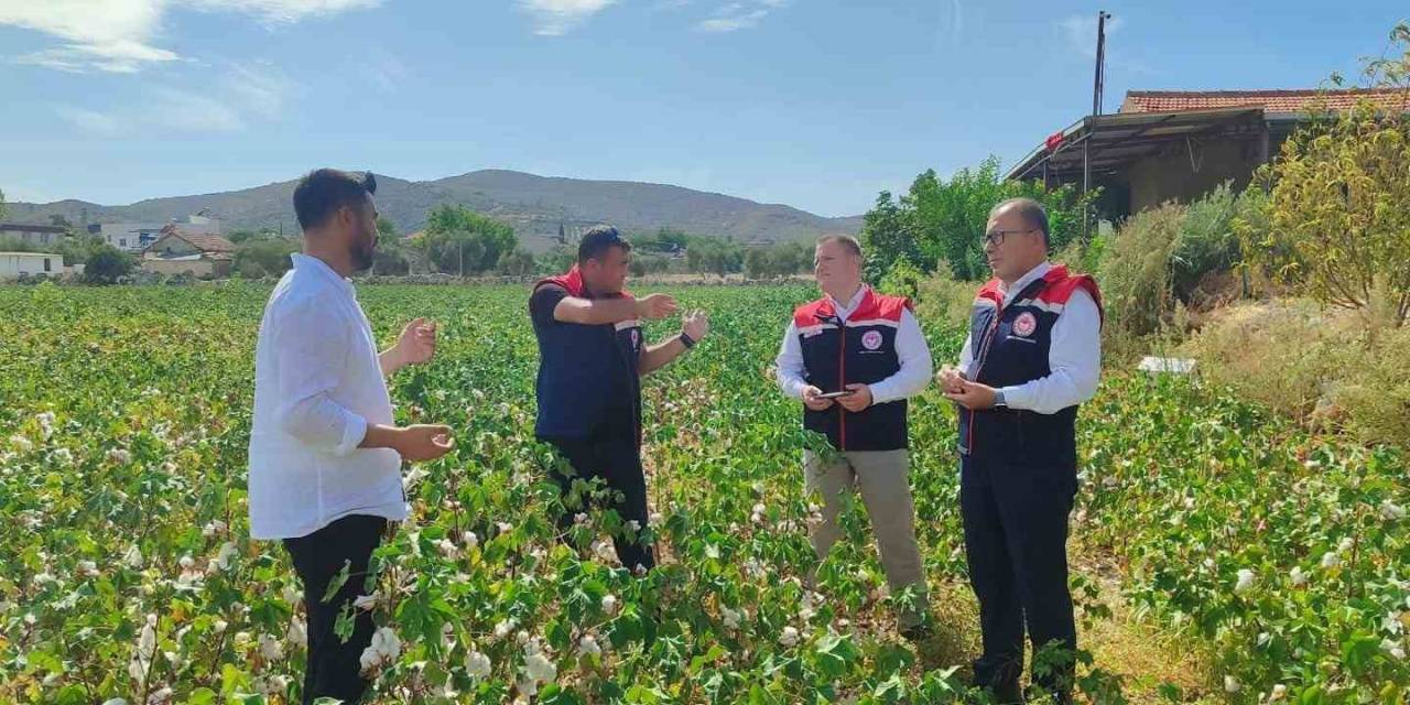 Didim’de Üretim Alanları Kontrol Edildi