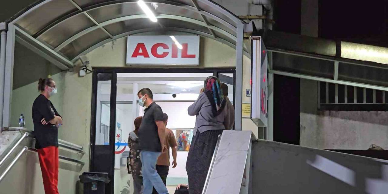 Fındık Hasadı İşçileri İlçenin Nüfusunu Arttırdı