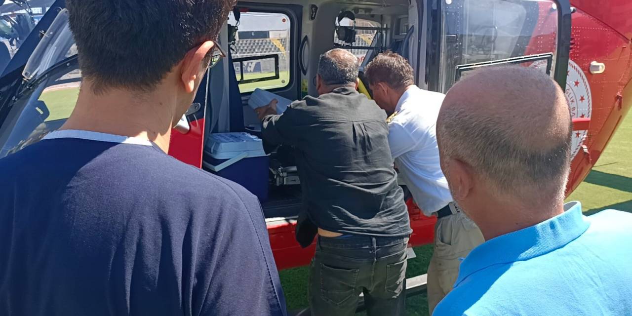 Beyin Ölümü Gerçekleşen Şahsın Organları 4 Hastaya Umut Olacak