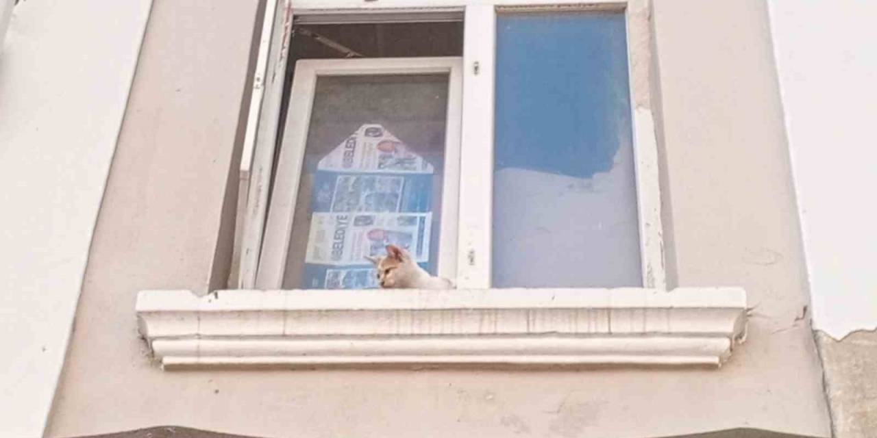 Cama Ayağı Sıkışan Kedi Kurtarıldı