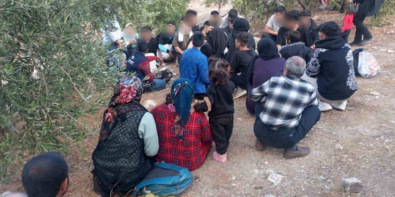 Didim Ve Söke’de 70 Düzensiz Göçmen Yakalandı