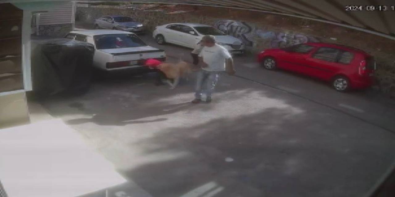 İzmir’de Sevdiği Köpeğin Saldırısına Uğrayan Çocuk Yaralandı