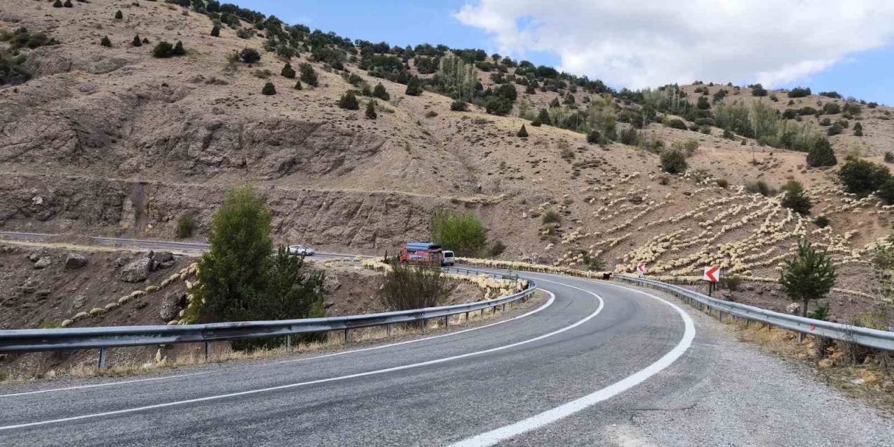 İstanbul’un Stresinden Kaçtı Huzuru Çobanlıkta Buldu