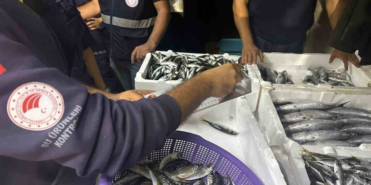 100 Kilo İstavrit Ve 14 Kilo Lüfere El Konuldu