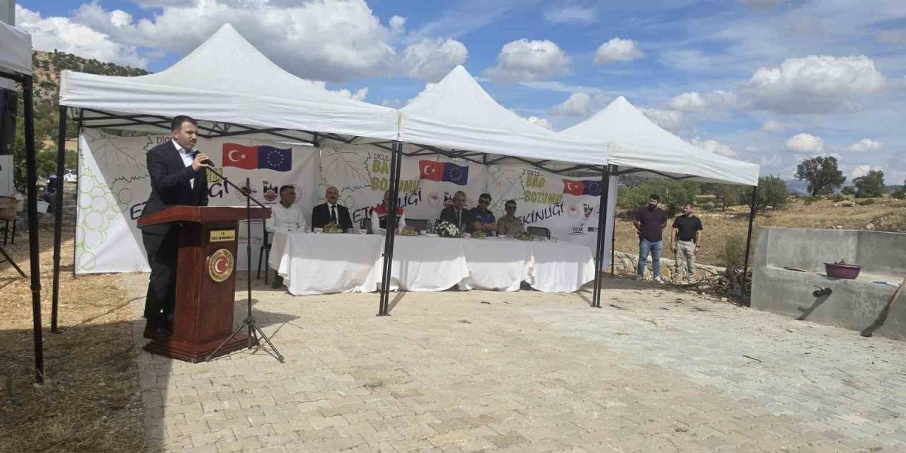 Dicle İlçesinde Bağ Bozumu Etkinliği Gerçekleştirildi