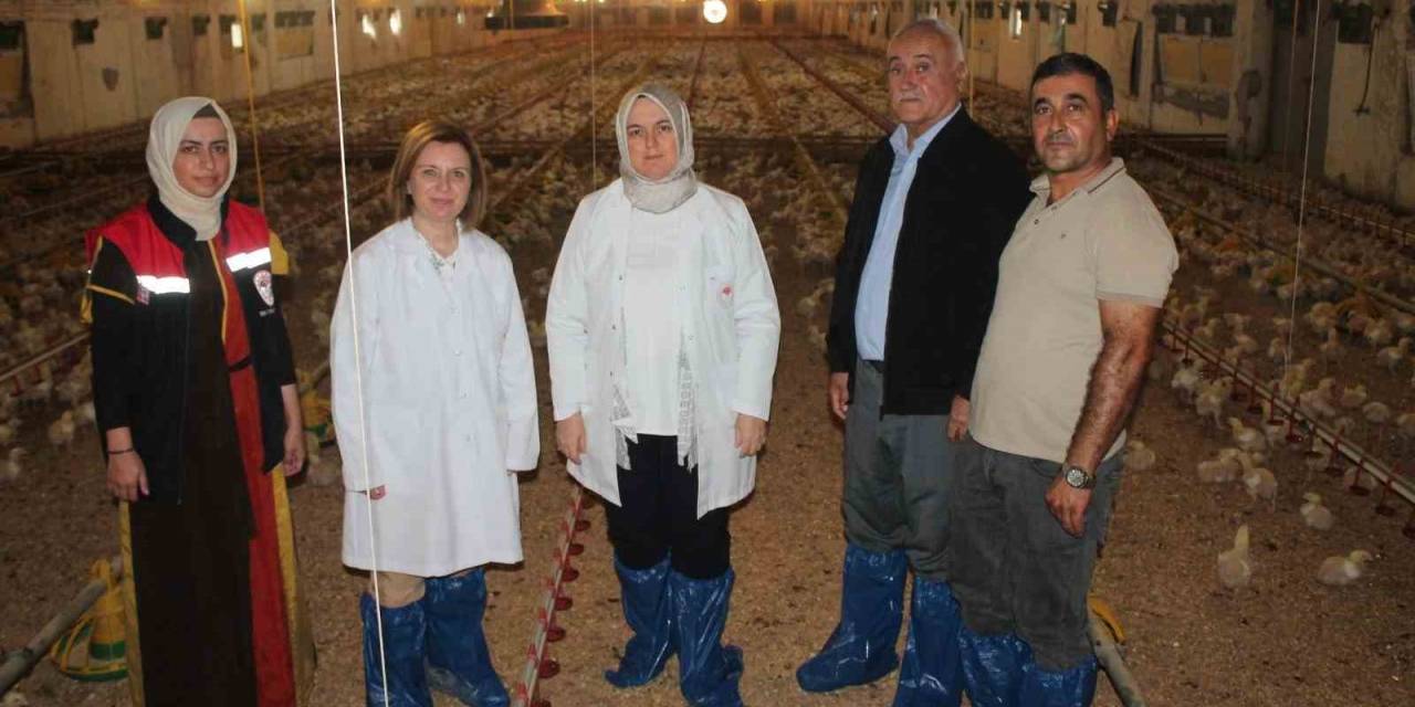 İyi Tarım Uygulamaları Yerinde İncelendi