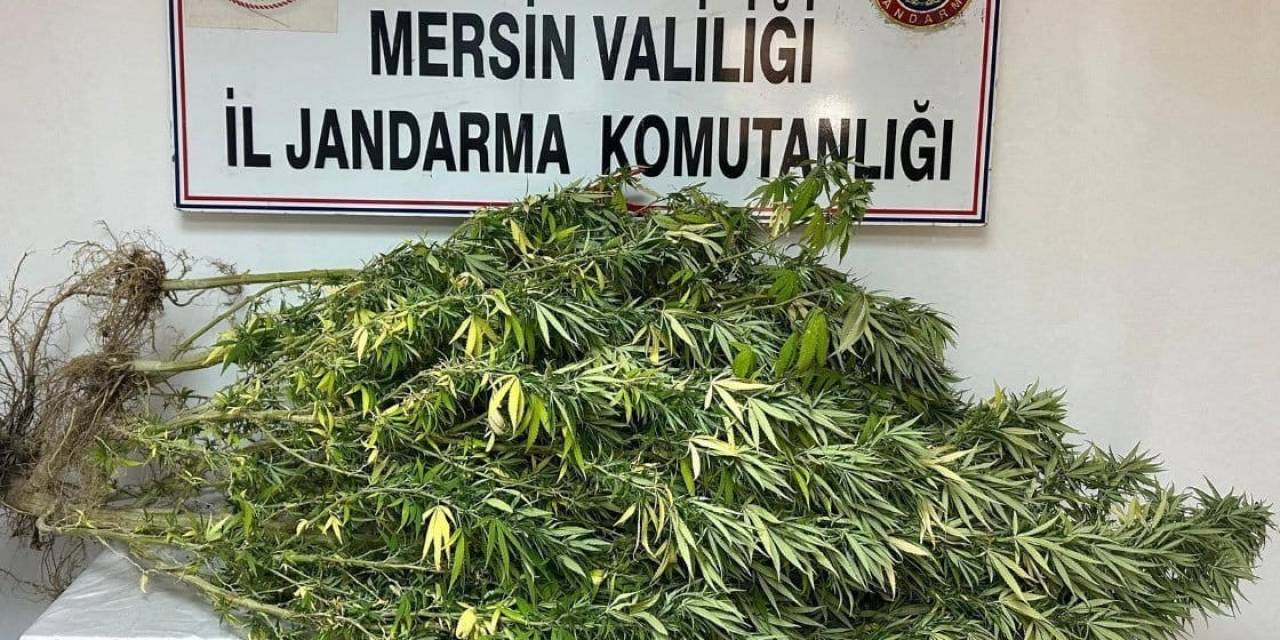 Mersin’de Uyuşturucu Tacirlerine Operasyon: 4 Gözaltı