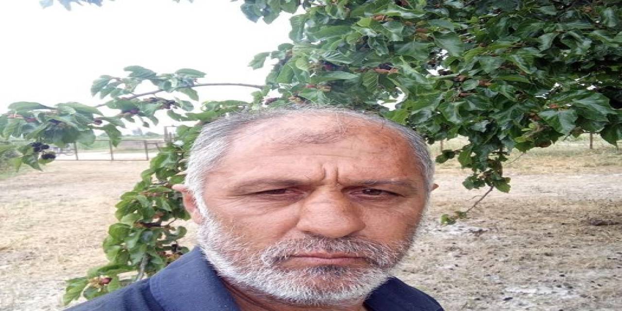 Aydın’da Trafik Kazası: 1 Ölü