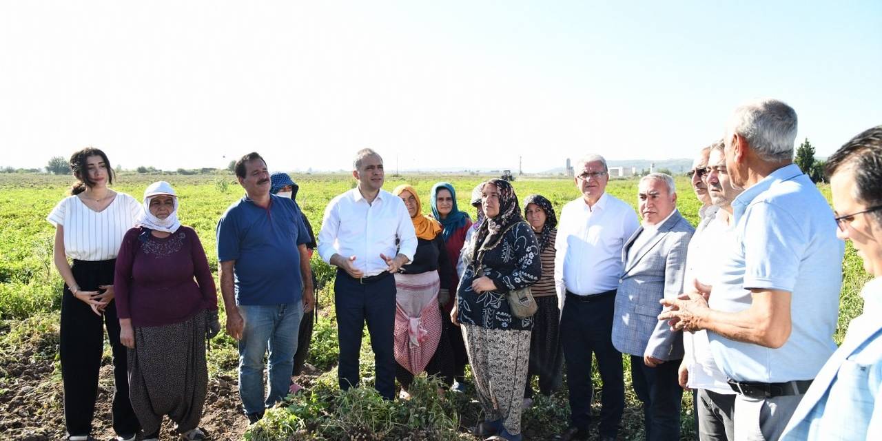 Yer Fıstığının Başkenti Osmaniye’de Festival Heyecanı