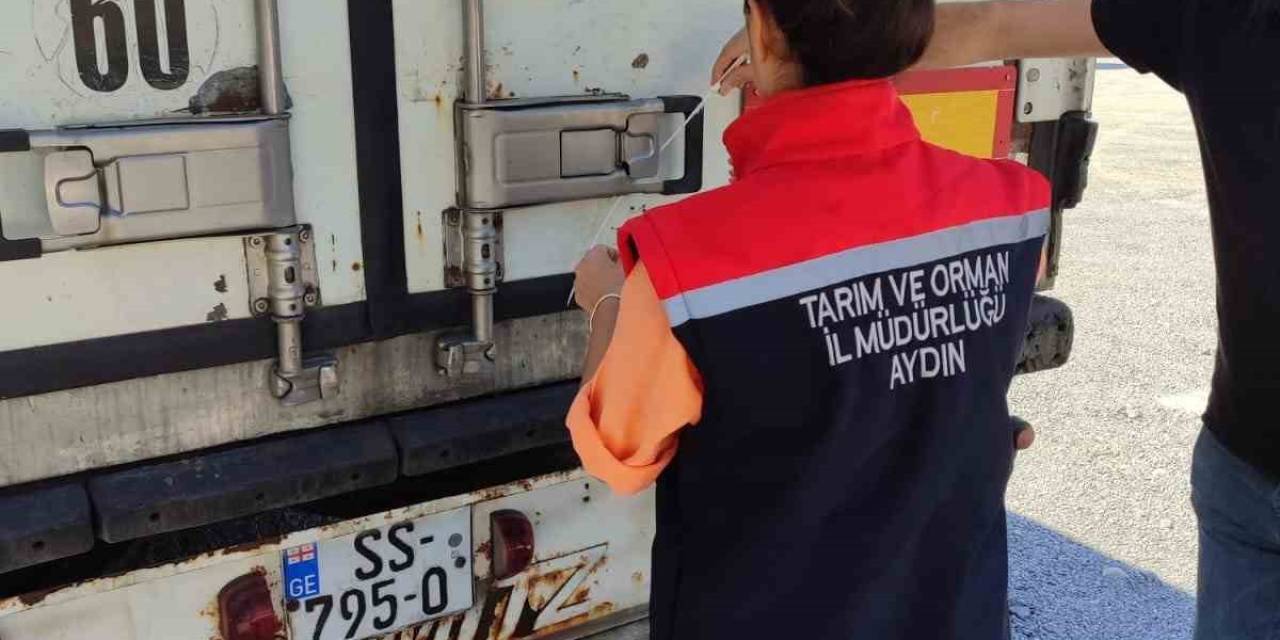 Söke’den Rusya Ve İtalya’ya Balık İhracatı