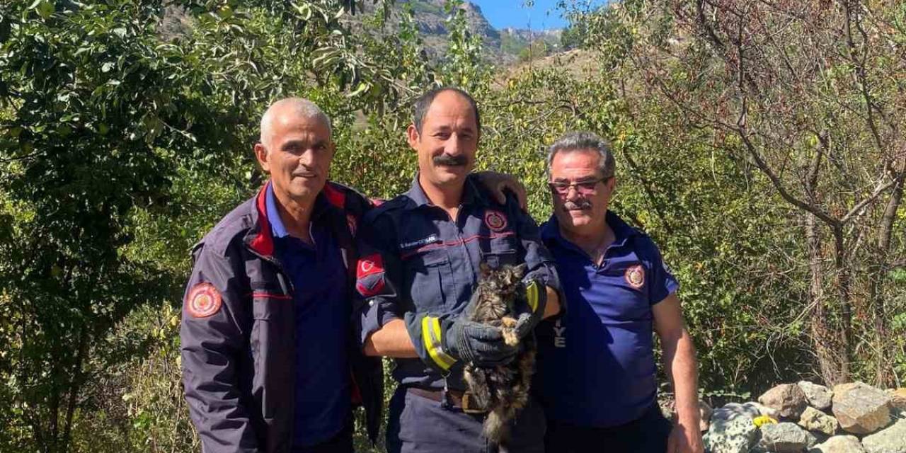 Kafasını Kutuya Sıkıştıran Kedinin İmdadına İtfaiye Ekipleri Yetişti