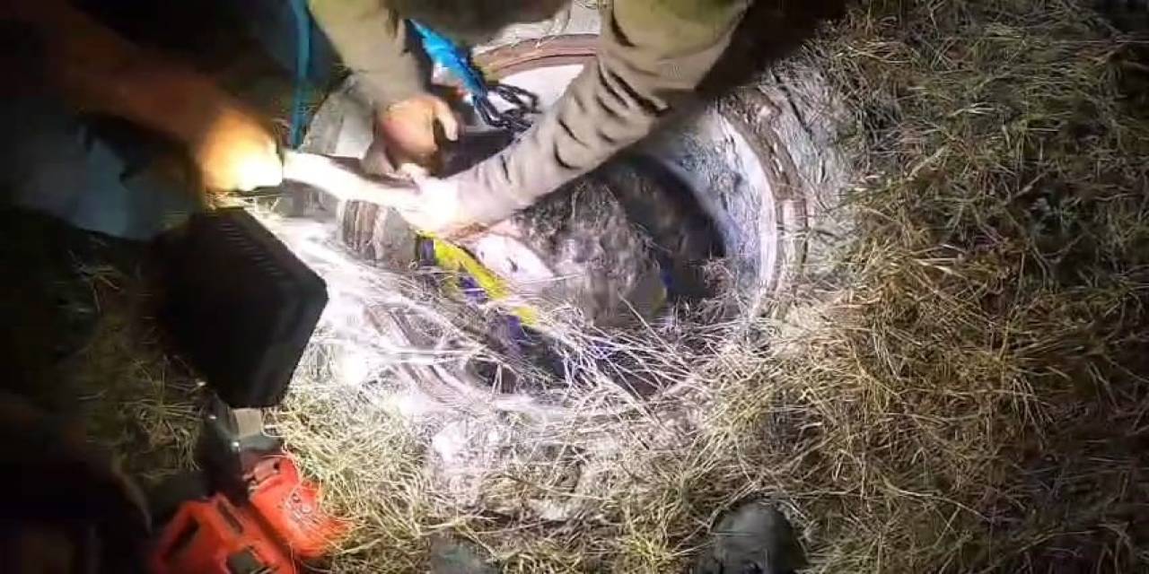 Bursa’da Rögara Düşen Koyunlar Kurtarıldı