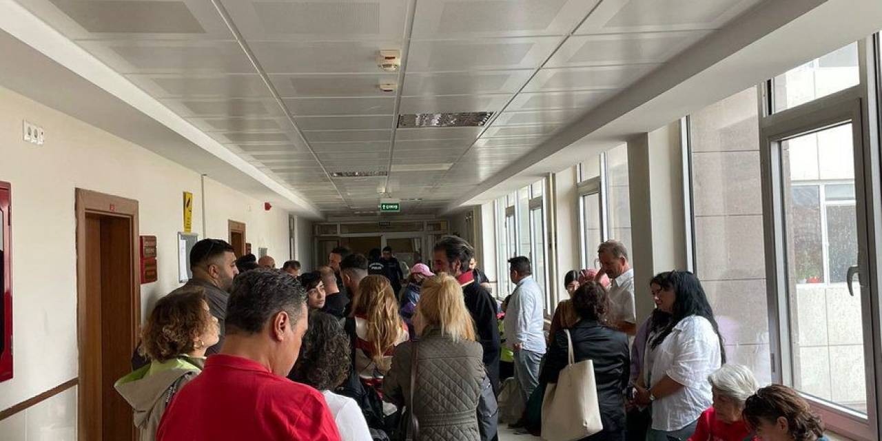 Ankara’da Yavru Köpeği Dirgenle Öldüren Sanık Hakim Karşısında