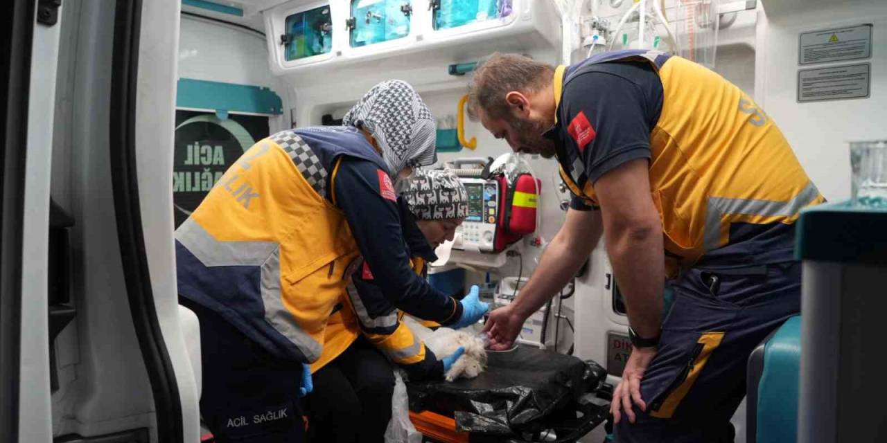 Bursa’da Palet Fabrikası Yangınında Yürekleri Isıtan Görüntüler