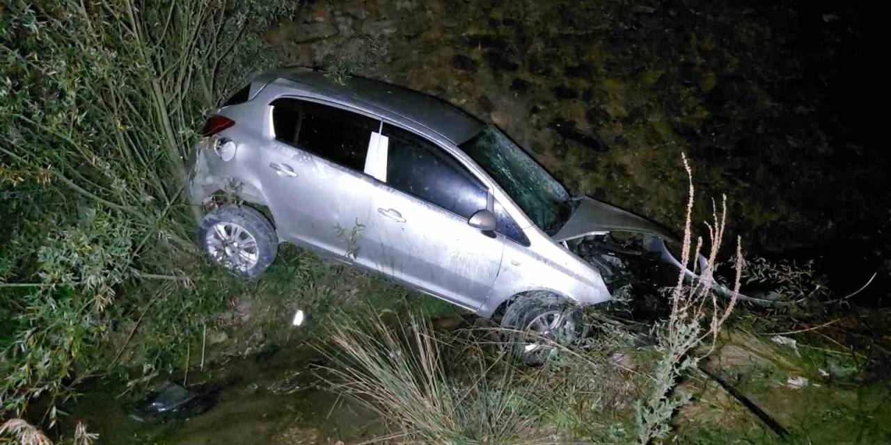 Başıboş Köpek Kazaya Sebep Oldu: 1 Yaralı