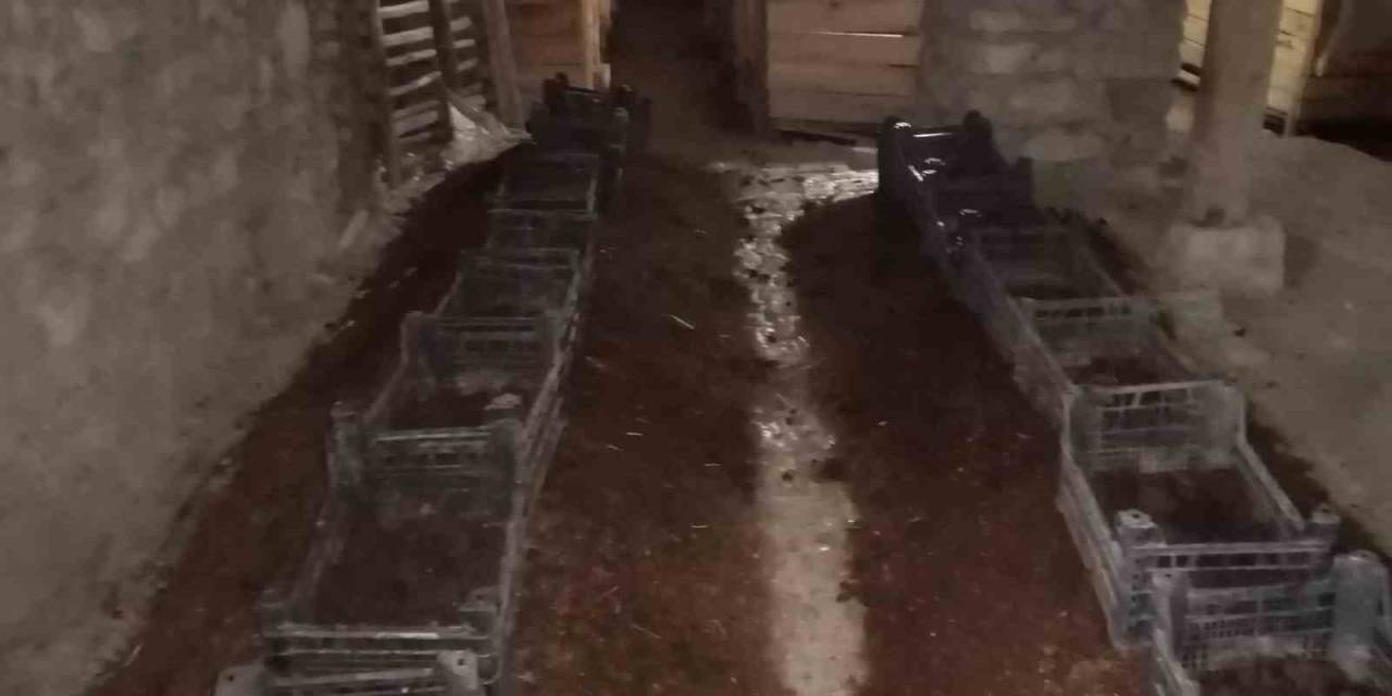 Şehir Hayatından Sıkıldı Çemişgezek’e Yerleşip Milyonlarca Solucanla Organik Gübre Üretmeye Başladı