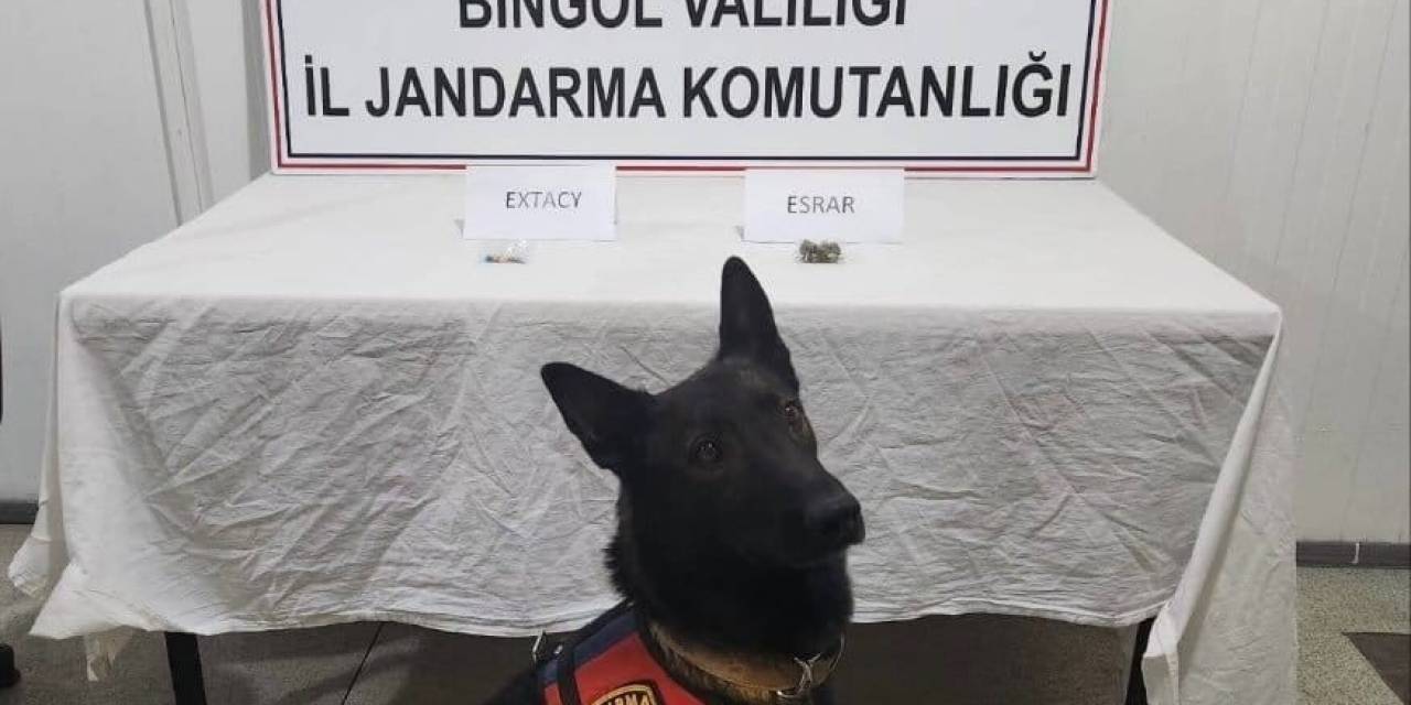 Bingöl’de Jandarma Ekipler Suçlulara Göz Açtırmıyor