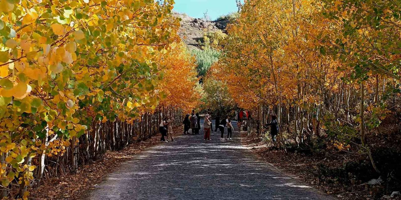 Nemrut Kalderası’nda Sonbahar Güzelliği