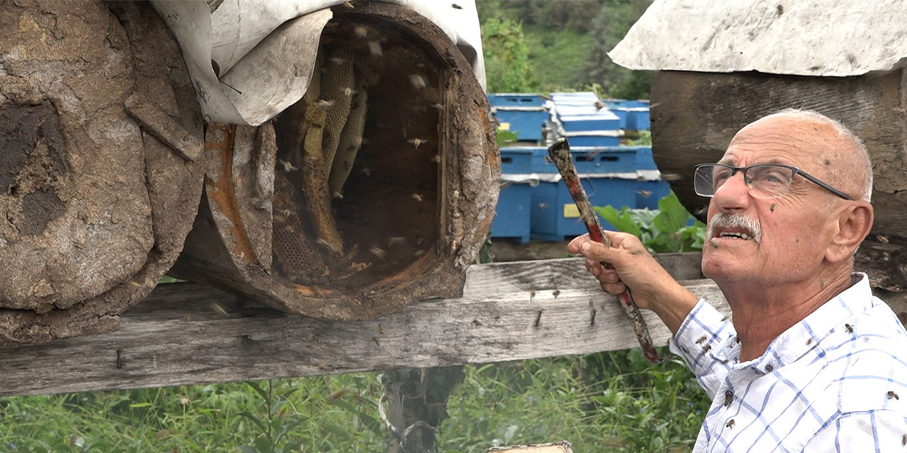 Rize'de karakovan balının hasadı tamamlandı, fiyatı belirlendi