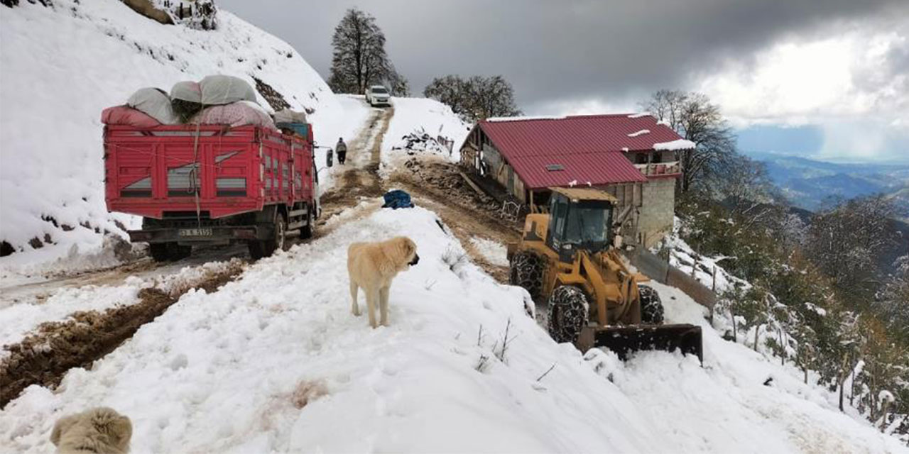 Rize’de yaylada küçükbaş ve büyükbaş hayvanları ile mahsur kalan 6 kişi kurtarıldı