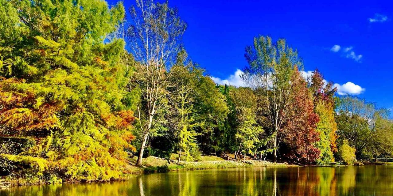 Sonbaharın Büyüleyici Renkleri Erzincan’ı Sardı