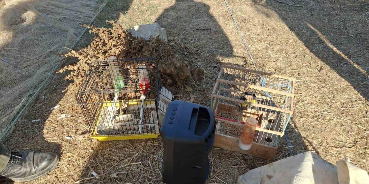 Muğla’da Kaçak Avcılık Yapan Kişiye Para Cezası Kesildi