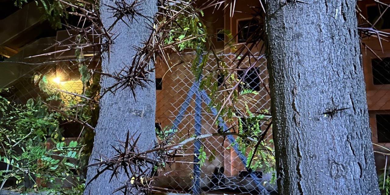 Konya’da Sırtına Diken Batan Genç Yaralandı