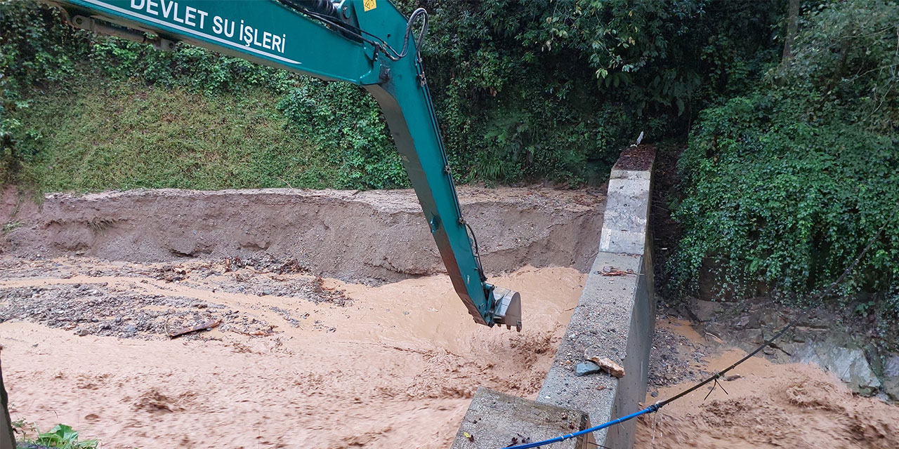 Rize'de heyelanlı alanda diken üstünde temizleme çalışması