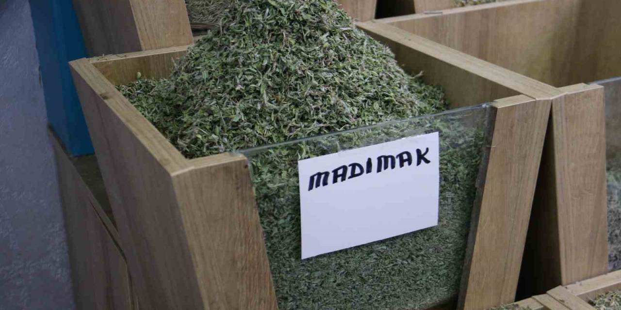 Kurusu Yaşından 5 Kat Daha Pahalı