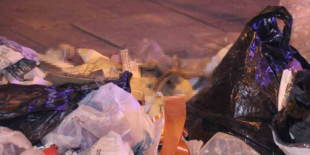 Çöpten Çıkan Kemikler Paniğe Neden Oldu