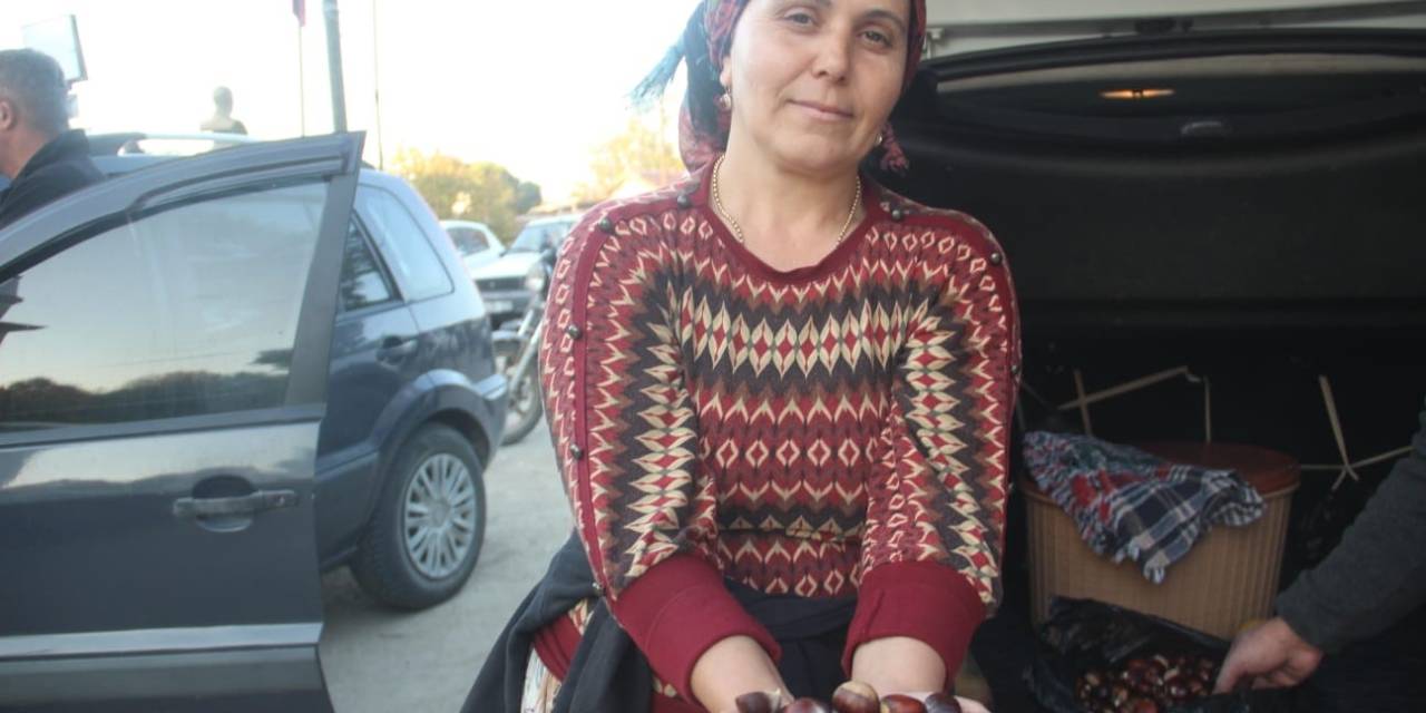 Kaz Dağları’nda Kestane Sezonu Başladı