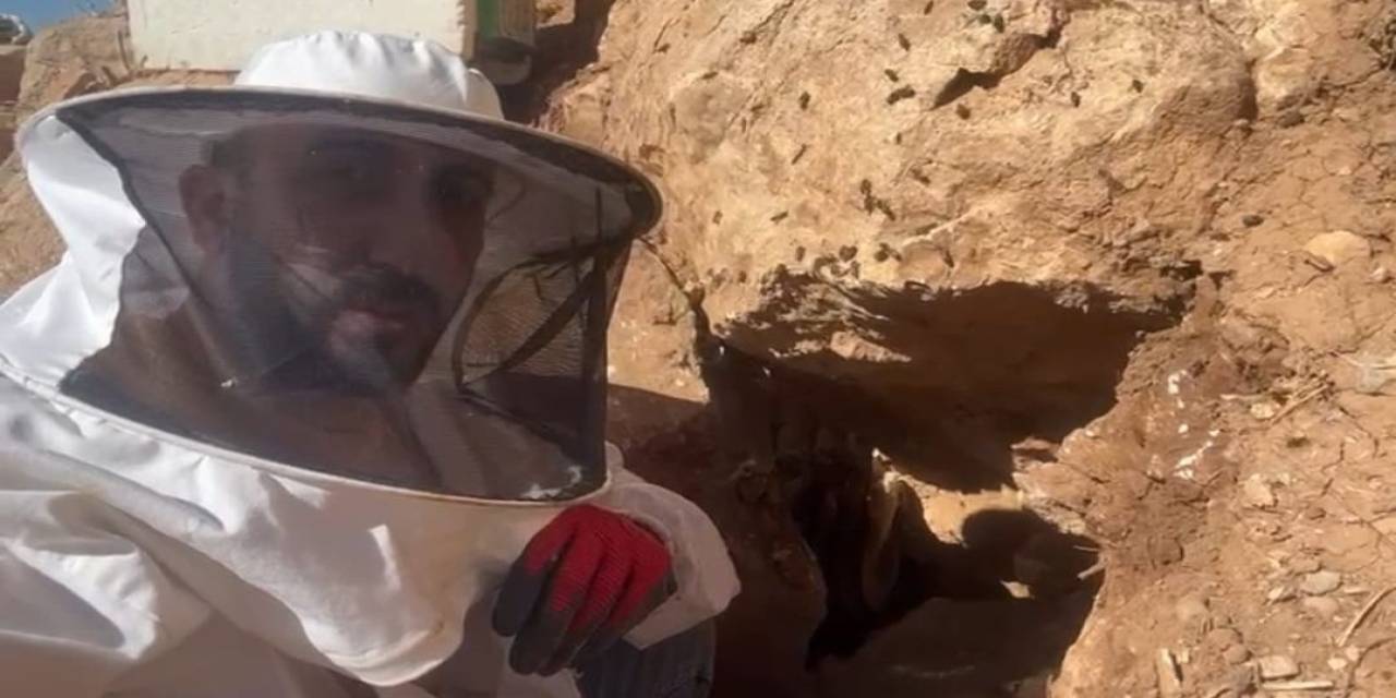 Eşek Sırtında Dağ Bayır Dolaşarak Kaya Balı Arıyor